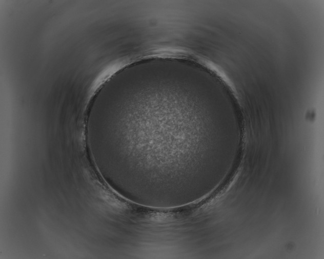 X0000091691362200708231430