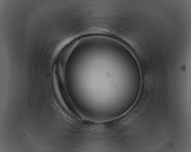 X0000091691363200708231430