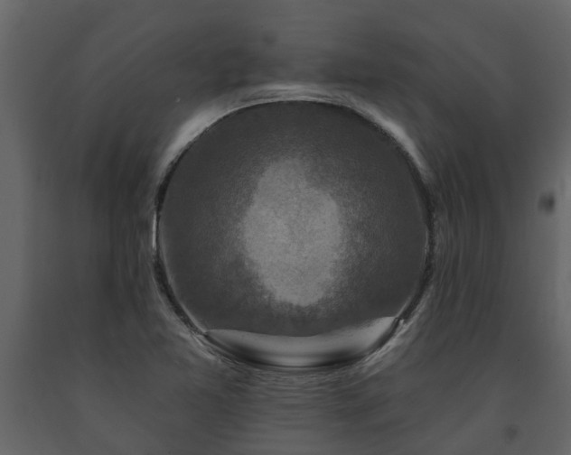X0000091691365200708231430