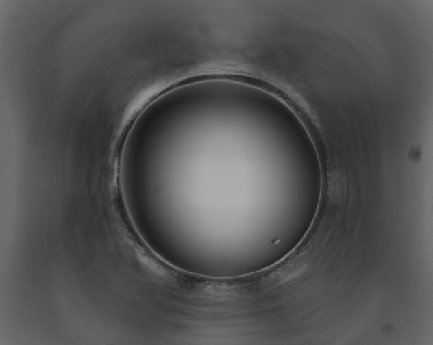 X0000091691366200708231430