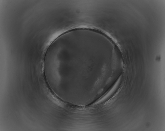 X0000091691367200708231430