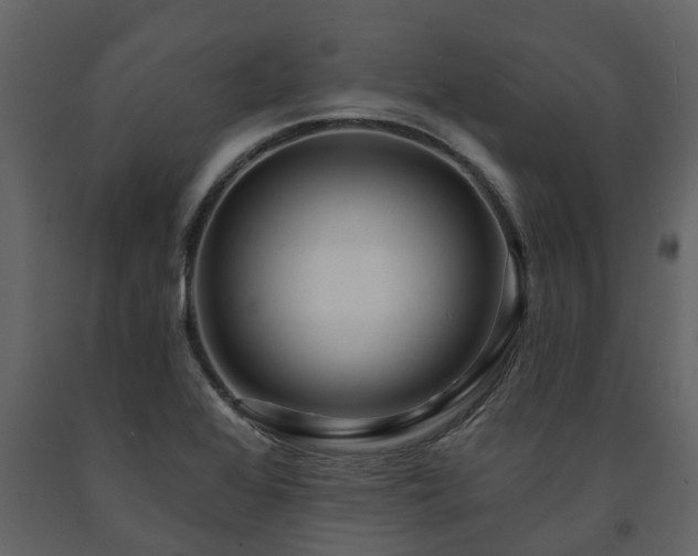 X0000091691368200708231430
