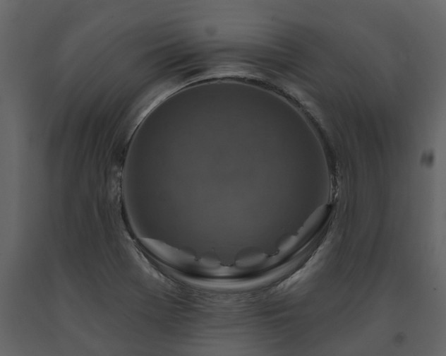 X0000091691369200708231430