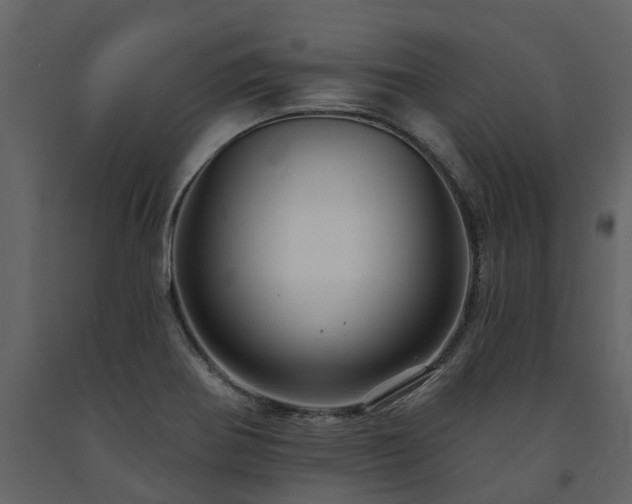 X0000091691370200708231430