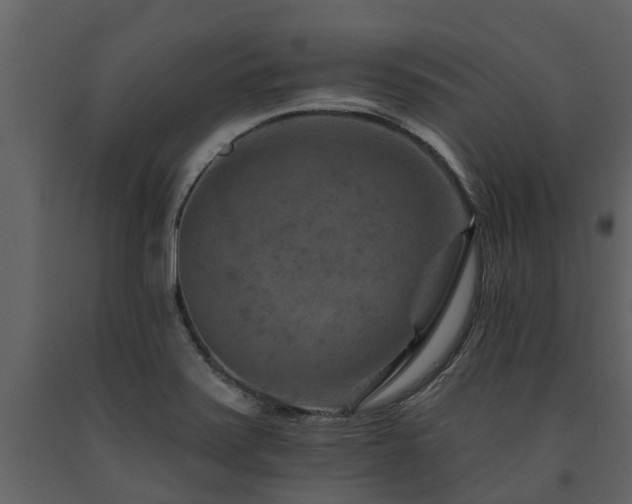X0000091691371200708231430