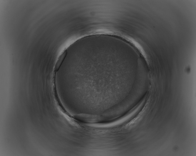 X0000091691373200708231430