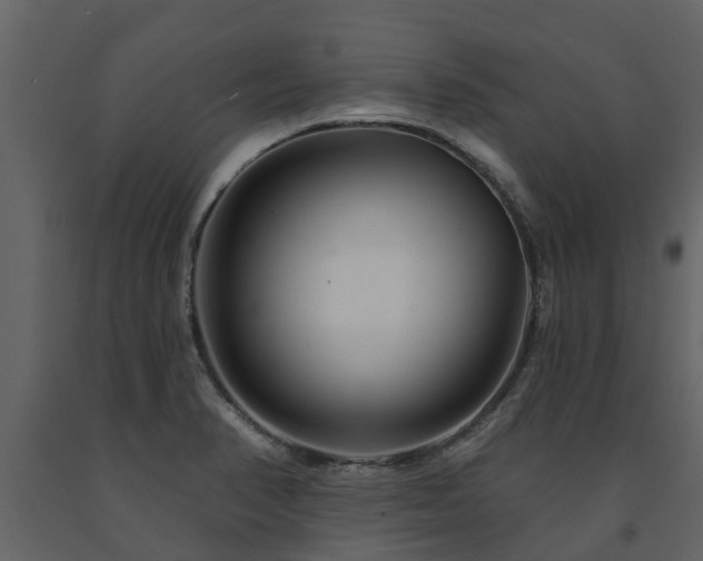 X0000091691374200708231430