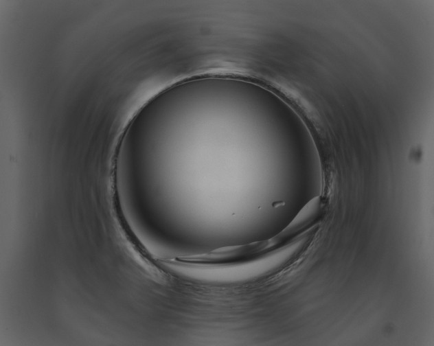 X0000091691375200708231430