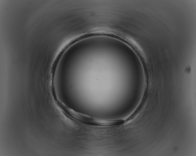 X0000091691376200708231430