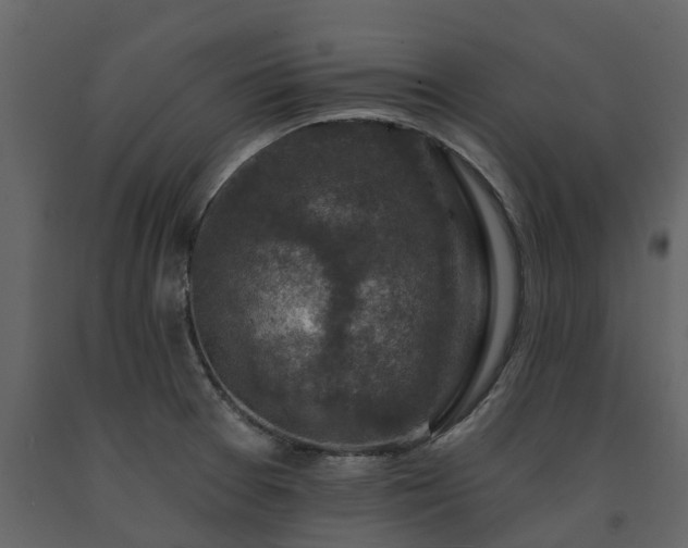 X0000091691377200708231430