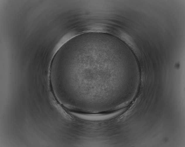 X0000091691378200708231430