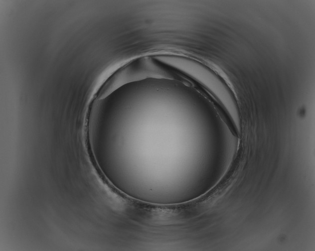 X0000091691379200708231430