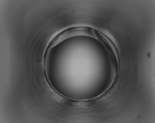X0000091691380200708231430