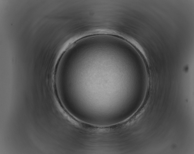 X0000091691381200708231430