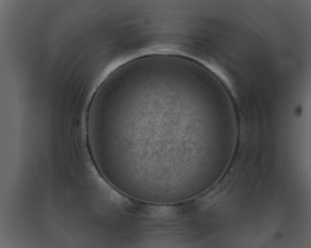 X0000091691382200708231430