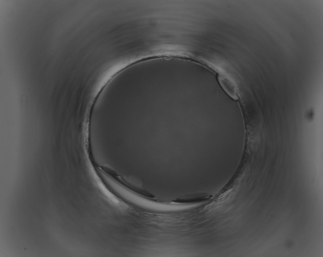 X0000091691383200708231430