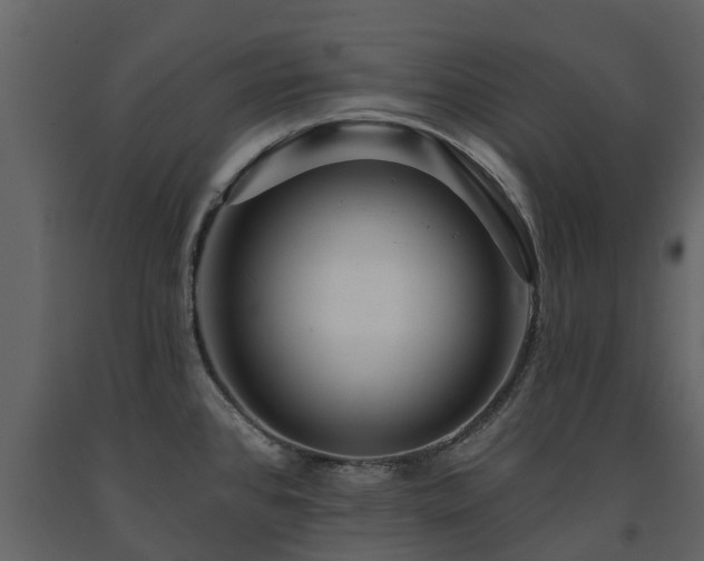 X0000091691384200708231430