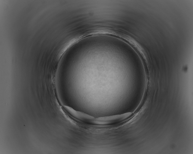 X0000091691385200708231430