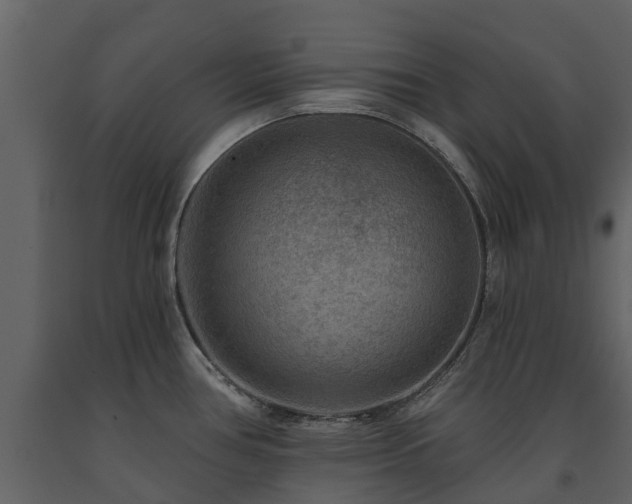 X0000091691386200708231430