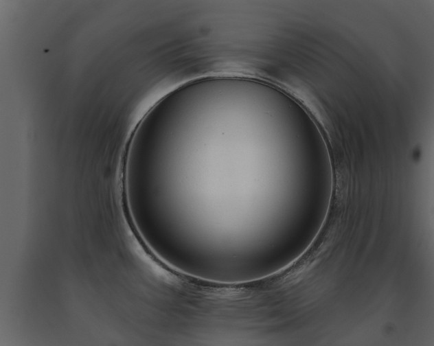 X0000091691387200708231430