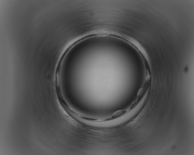 X0000091691388200708231430