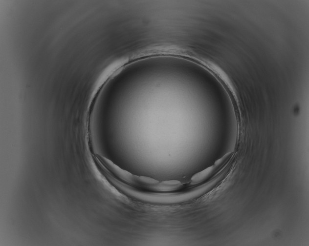 X0000091691389200708231430