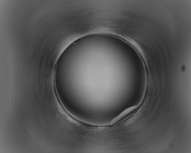 X0000091691390200708231430