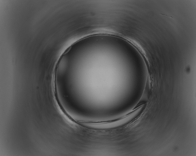 X0000091691391200708231430