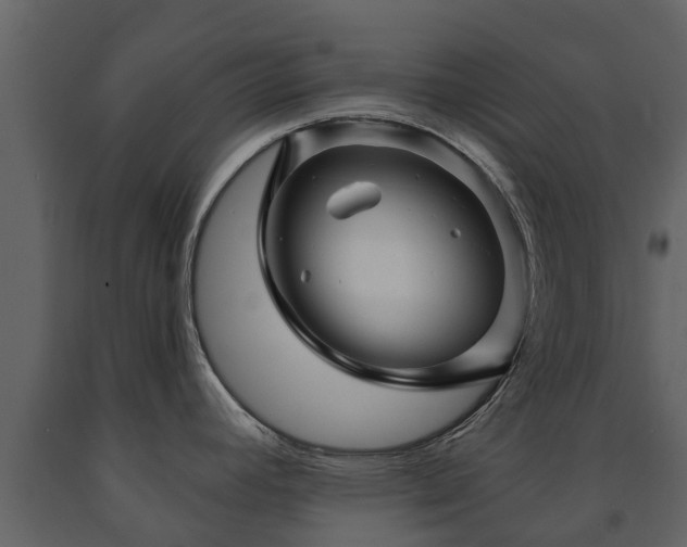 X0000091691392200708231430