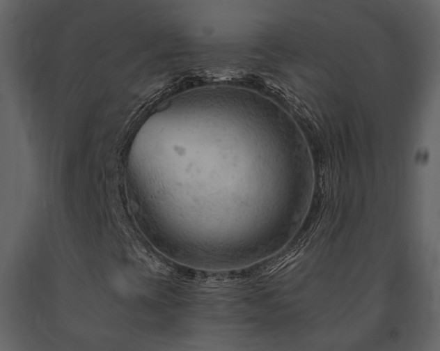 X0000091691393200708231429