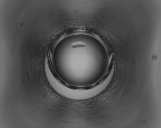 X0000091691394200708231429