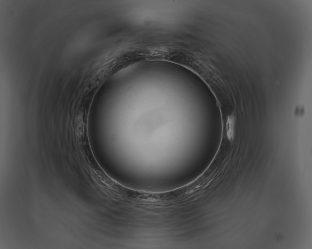 X0000091691395200708231429
