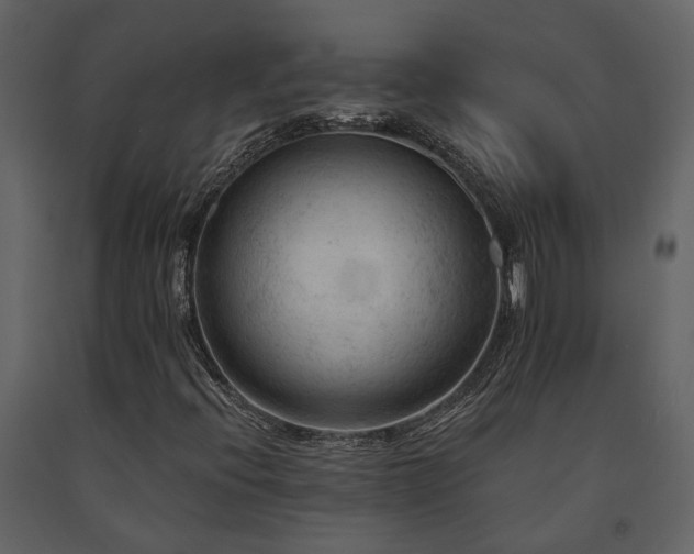 X0000091691396200708231429