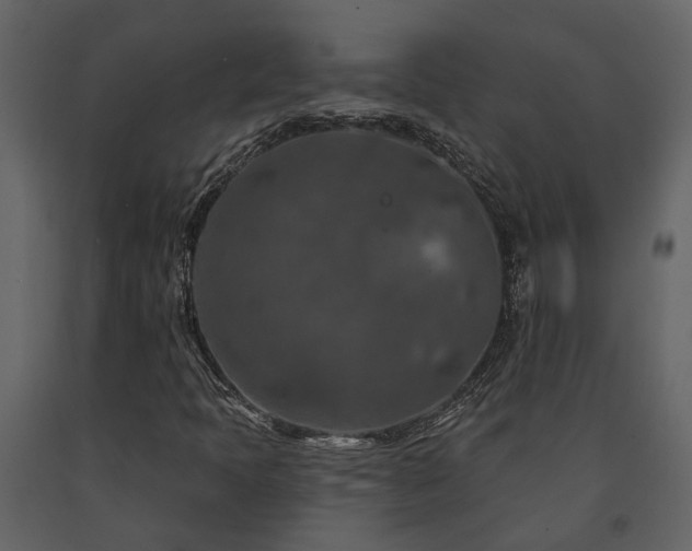 X0000091691397200708231429