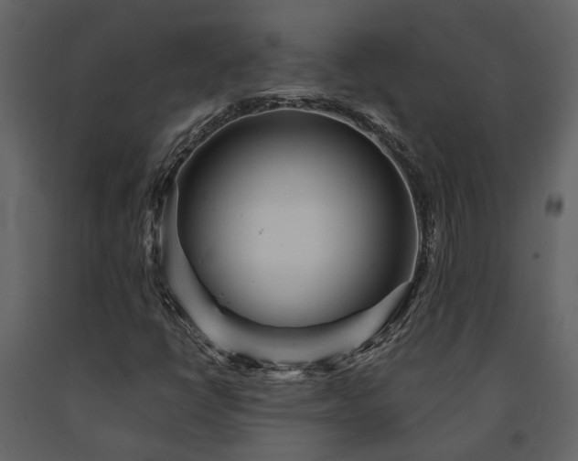 X0000091691398200708231429