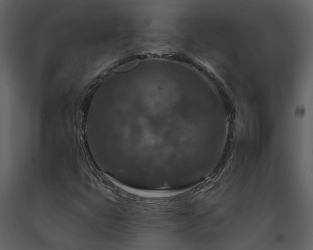 X0000091691399200708231429