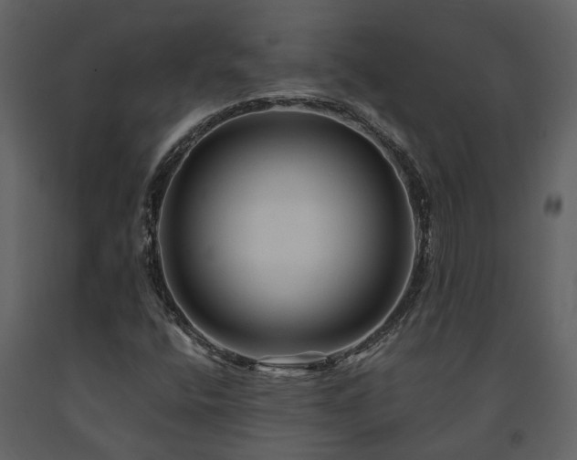 X0000091691400200708231429