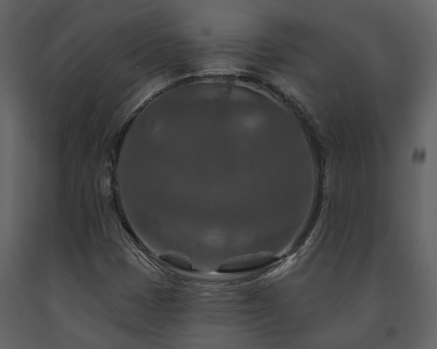 X0000091691401200708231429