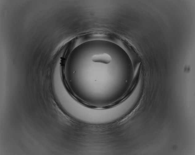 X0000091691402200708231429