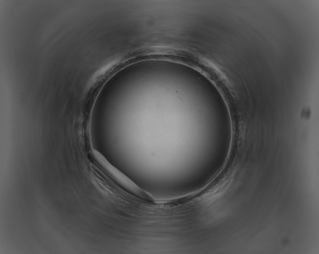 X0000091691403200708231429