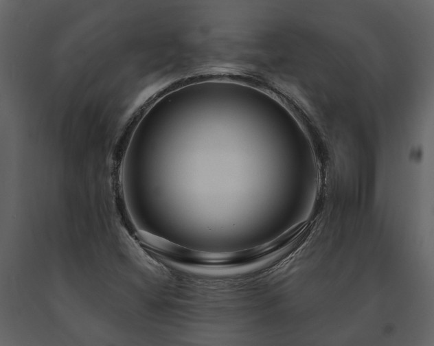 X0000091691404200708231429