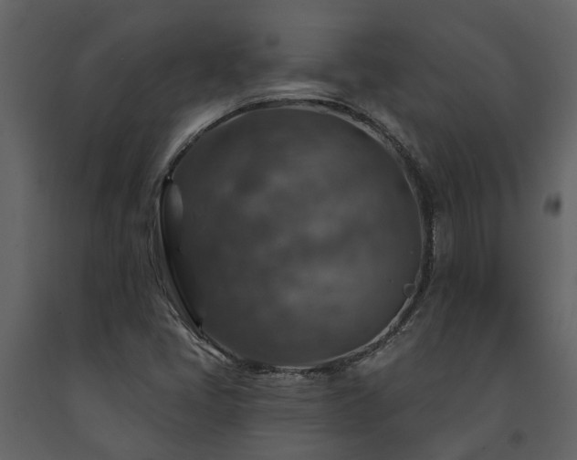 X0000091691405200708231429
