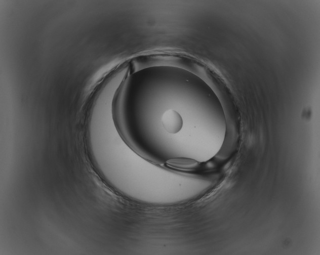X0000091691406200708231429