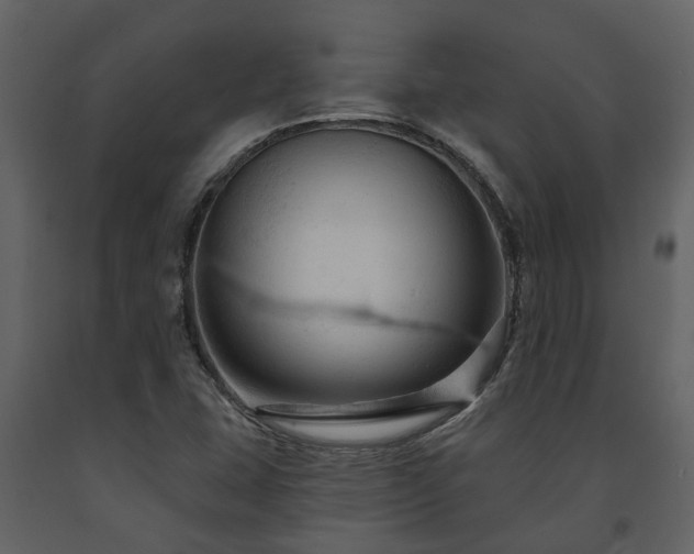 X0000091691407200708231429