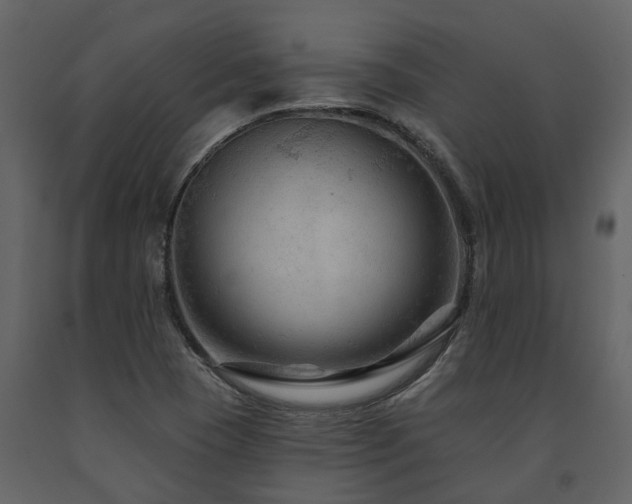 X0000091691409200708231429
