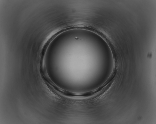 X0000091691410200708231429