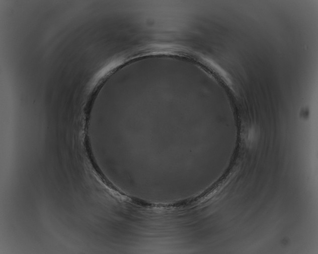 X0000091691411200708231429