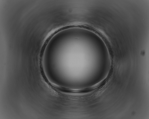 X0000091691412200708231429