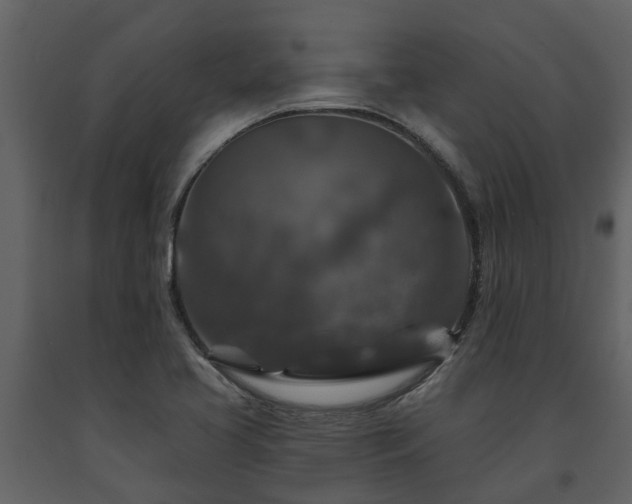 X0000091691413200708231429