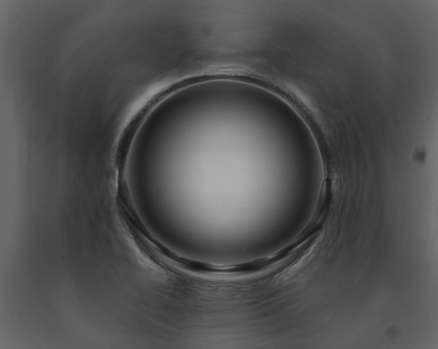 X0000091691414200708231429